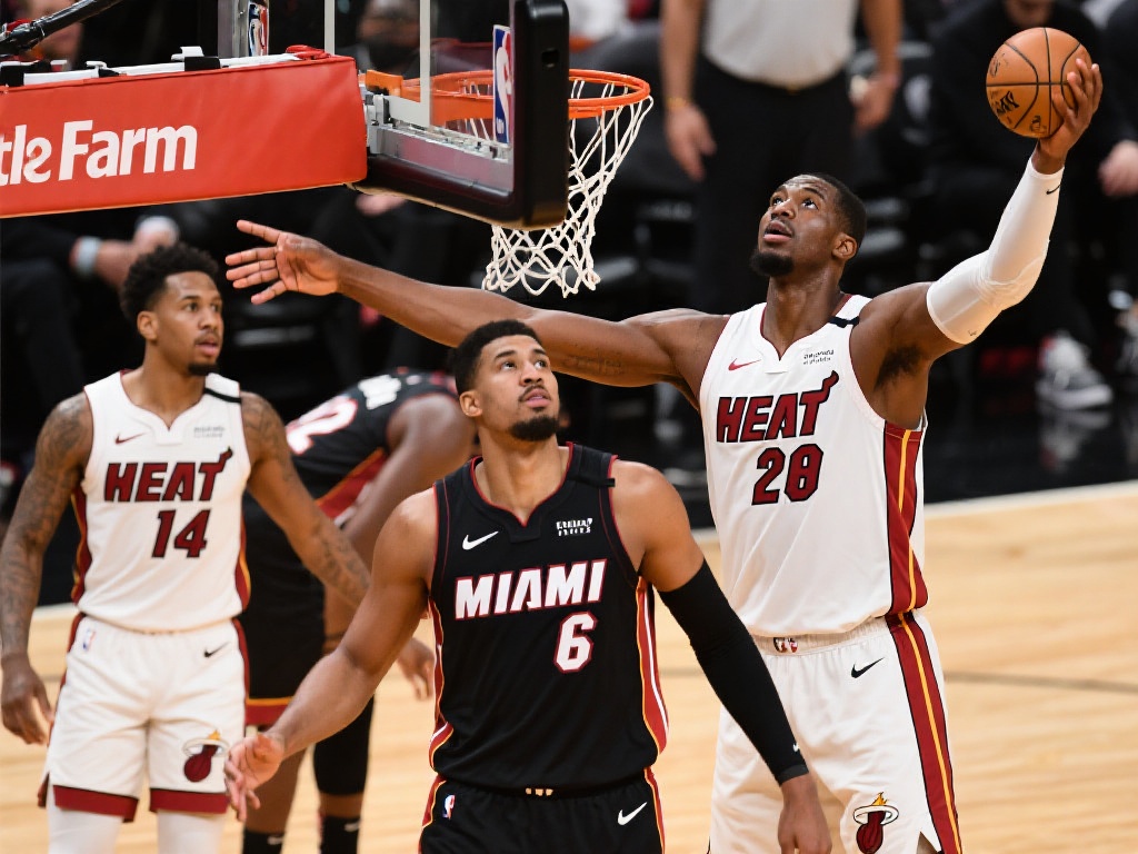 新星在加盟 新星在加盟